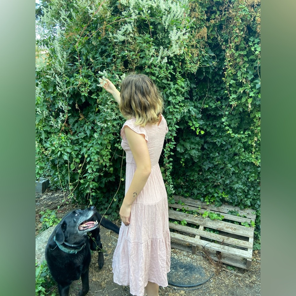 Cute ankle length long disney pink dress “MINE” brand